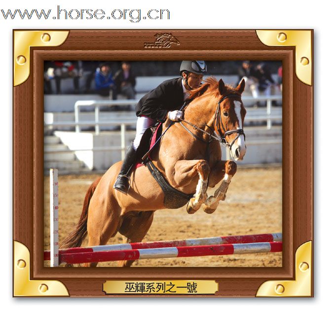 晓光手记：直击广东省2010年第一届柏骏马术场地障碍邀请赛(三)