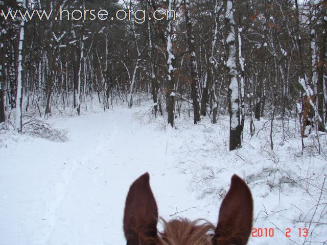 下雪，下雪，