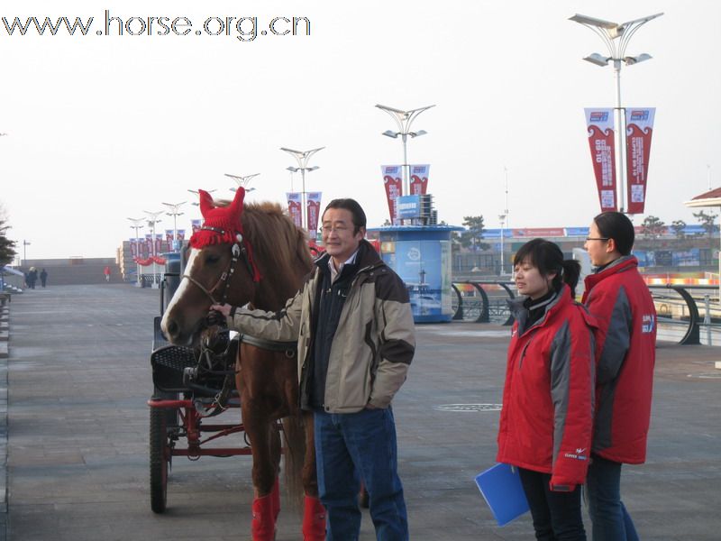 [分享]克里伯帆船凯旋归 虎年新春骏马迎