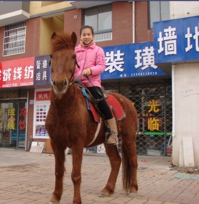 转让爱马