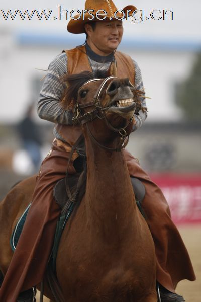 买马