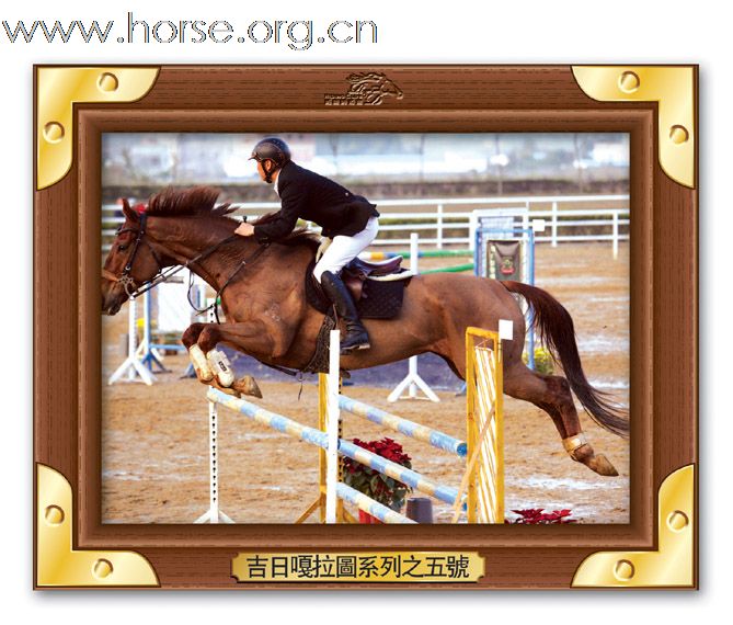 晓光手记：直击广东省2010年第一届柏骏马术场地障碍邀请赛(四)