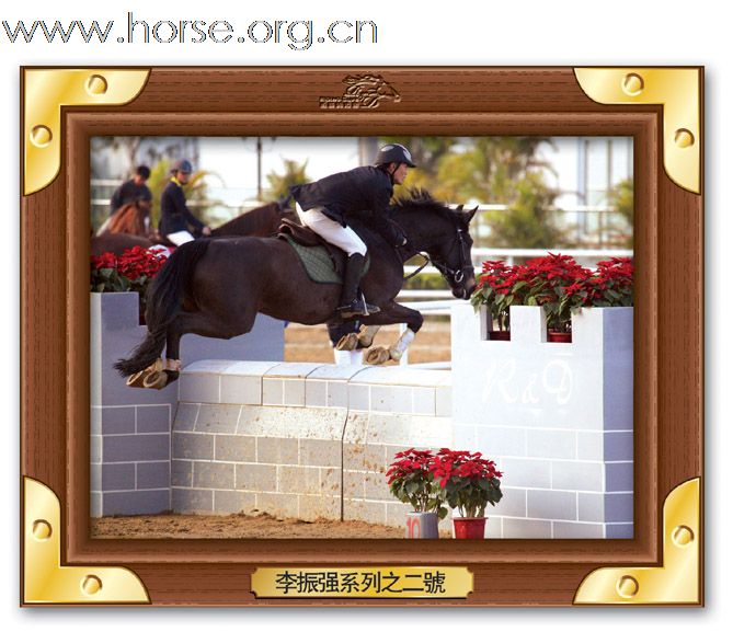 晓光手记：直击广东省2010年第一届柏骏马术场地障碍邀请赛(四)