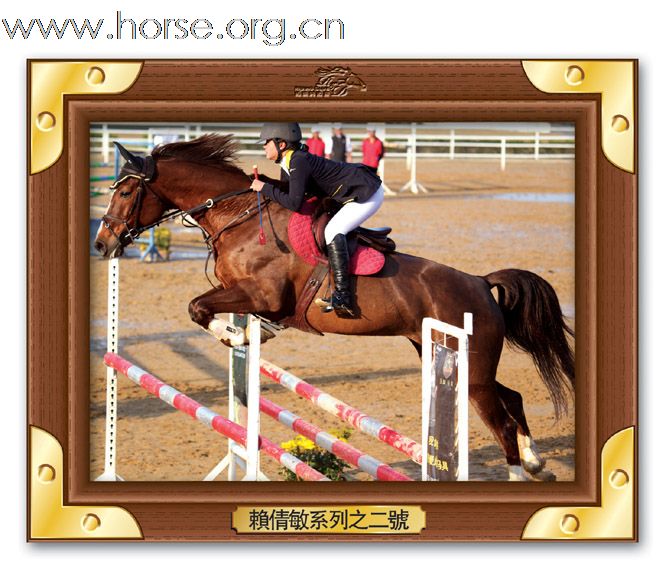 晓光手记：直击广东省2010年第一届柏骏马术场地障碍邀请赛(四)