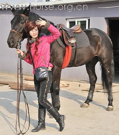 温州美女骑士跑马场 一月三号邀您来玩