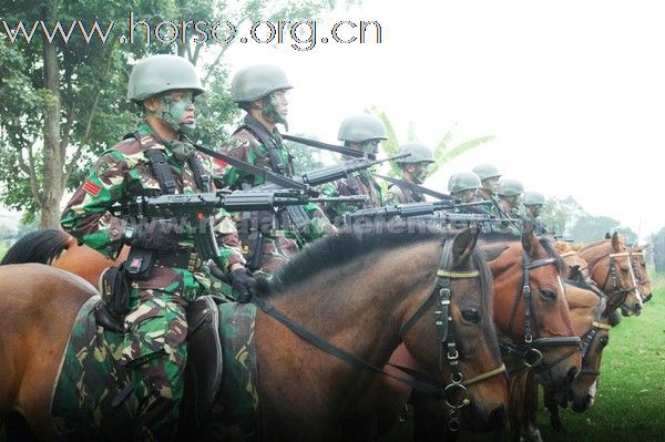 ...... 图说印尼迷彩骑兵