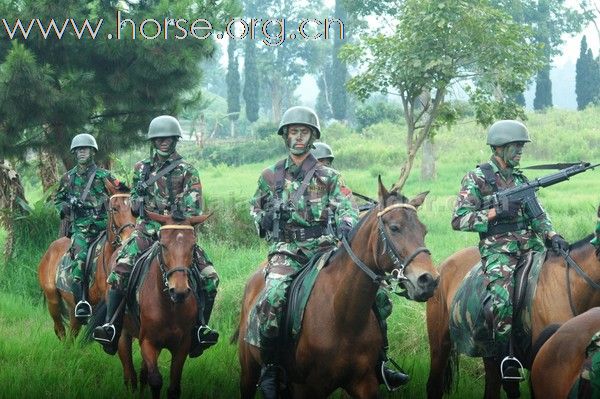 ...... 图说印尼迷彩骑兵