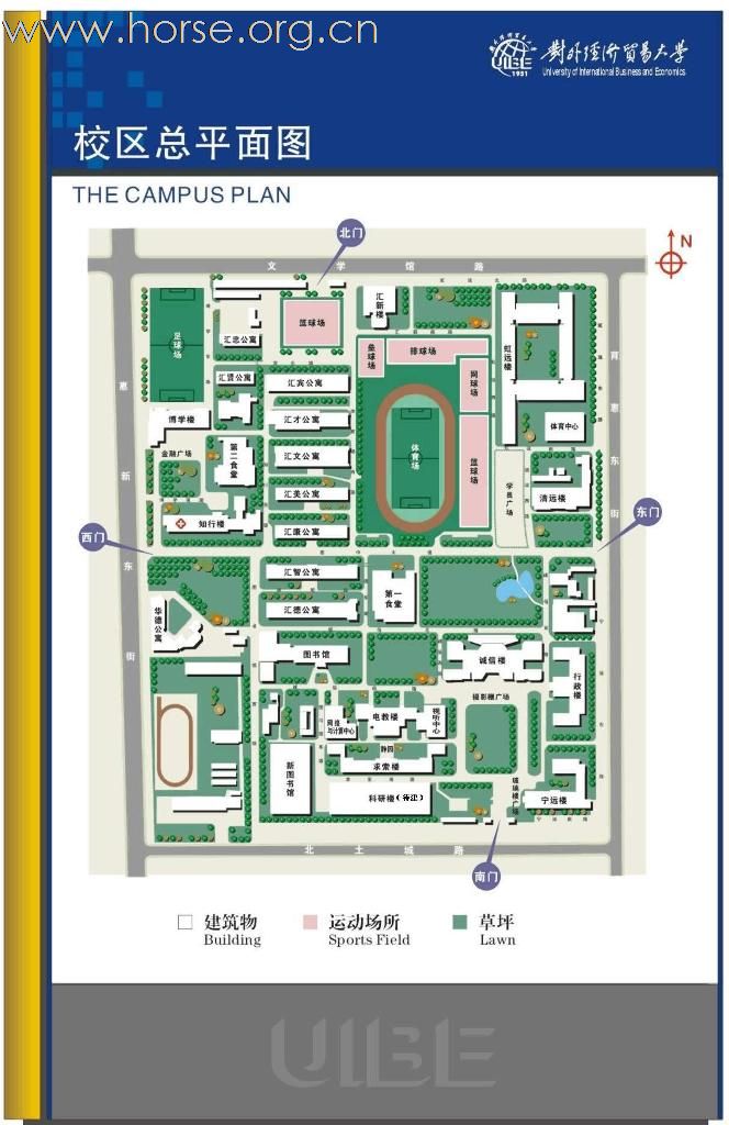 外经贸大学：马术普及讲座，欢迎初学者参加