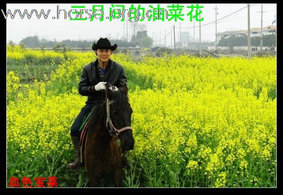 周末随拍~！