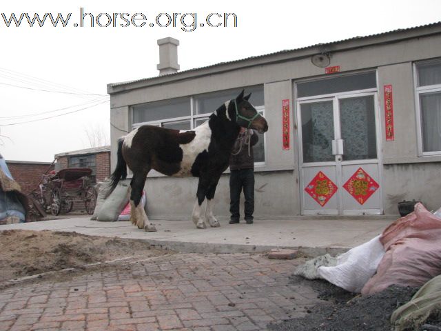 卖马