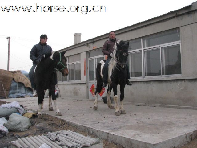 卖马