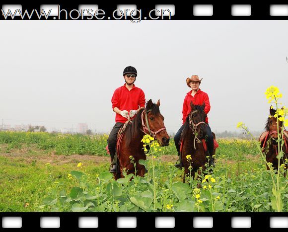 元宵节马帮骑马赏油菜花