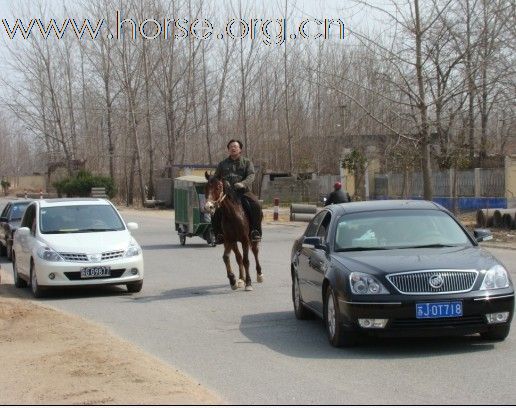 2010.3.14又野骑了