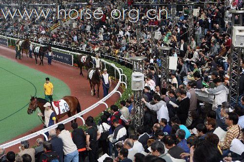 香港年度马坛盛事开赛 投注逾10亿远胜去年