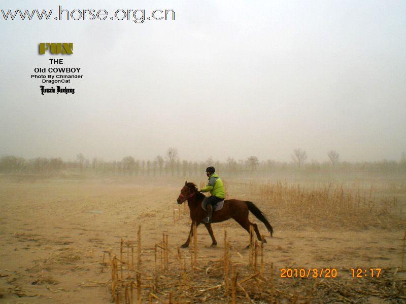 2010年03月20日虎年第三骑--涿州影视城骑马活动圆满结束