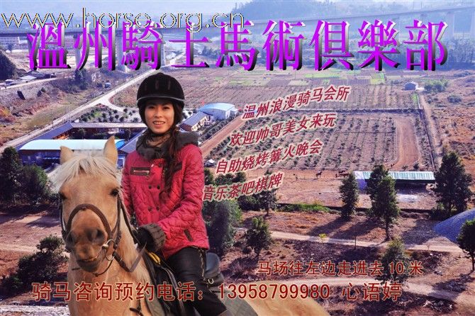 想成立股份制温州马术俱乐部 寻找爱马人