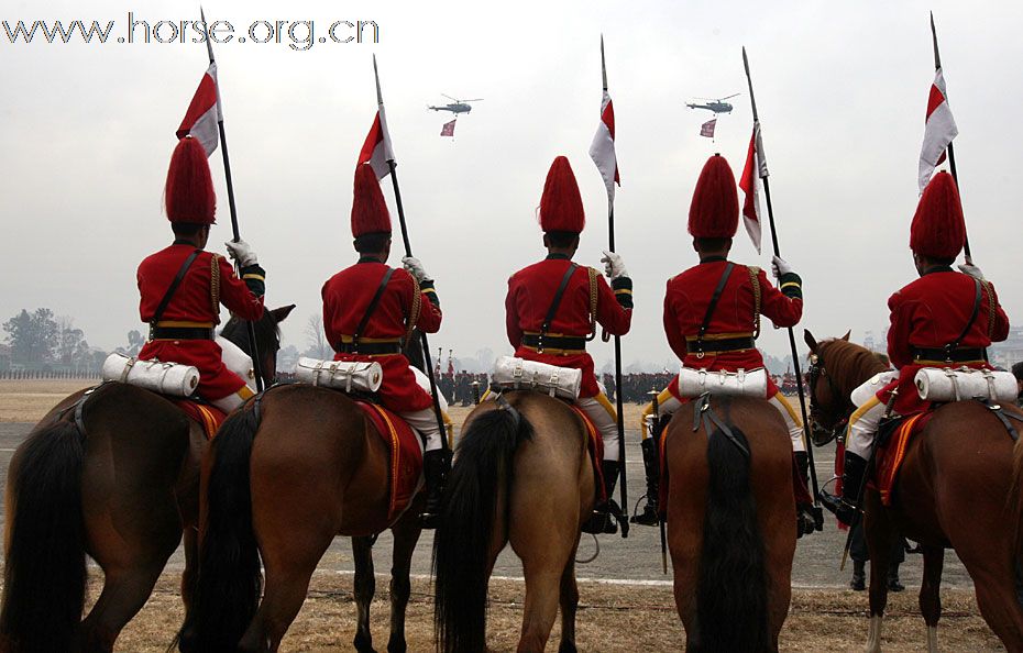 尼泊爾騎兵