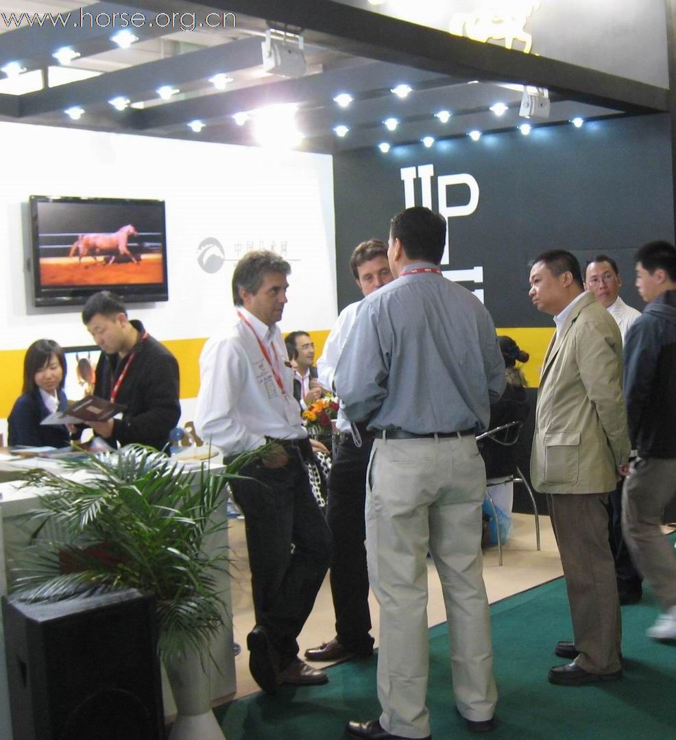 2010年第四届中国国际马业马术展览会吸引更多关注