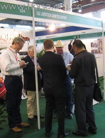 2010年第四届中国国际马业马术展览会吸引更多关注