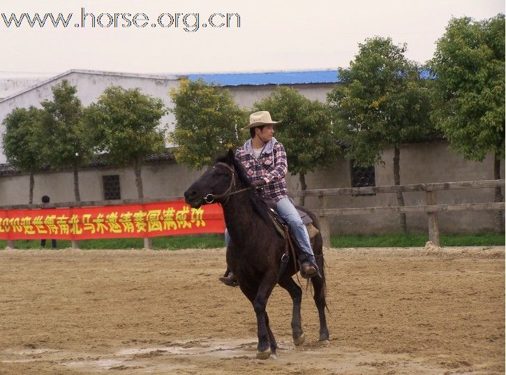 上海2010迎世博-南北马术邀请赛--照片集锦