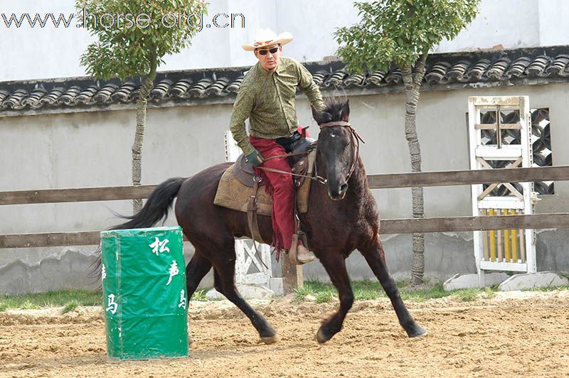上海2010迎世博南北马术邀请赛赛场风云