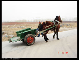 [贴图]看看民间农民兄弟驯马（拉马车）