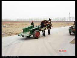 [贴图]看看民间农民兄弟驯马（拉马车）