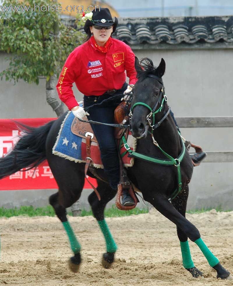 2010上海马友联盟南北马术对抗赛火爆举行——巾帼篇