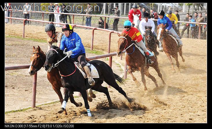 速度篇：2010上海马友联盟南北对抗赛火爆现场