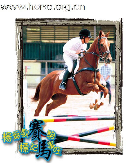 标题:晓光手记：图说“广东省四海标卓标迎亚运马术障碍邀请赛”（一）30~80cm级别