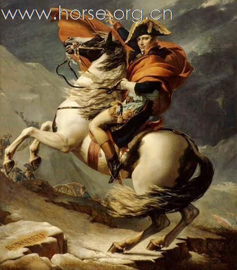 拿破崙在馬背上