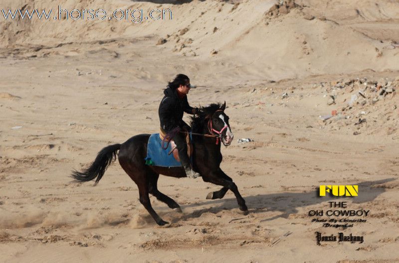 迟到好过不到：3月27日涿州影视城休闲骑马活动顺利圆满结束