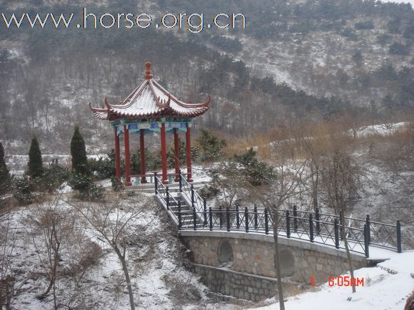 [推荐][贴图]青岛又一野骑的好去处，宝湖马术俱乐部