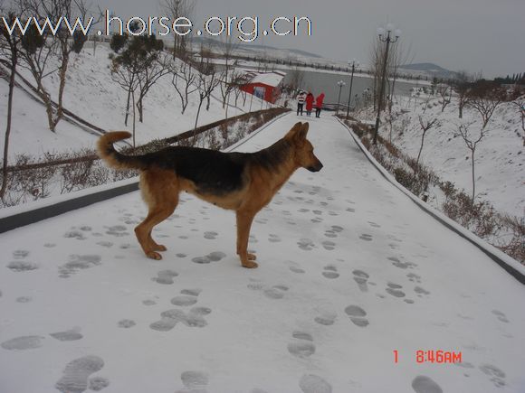 [推荐][贴图]青岛又一野骑的好去处，宝湖马术俱乐部