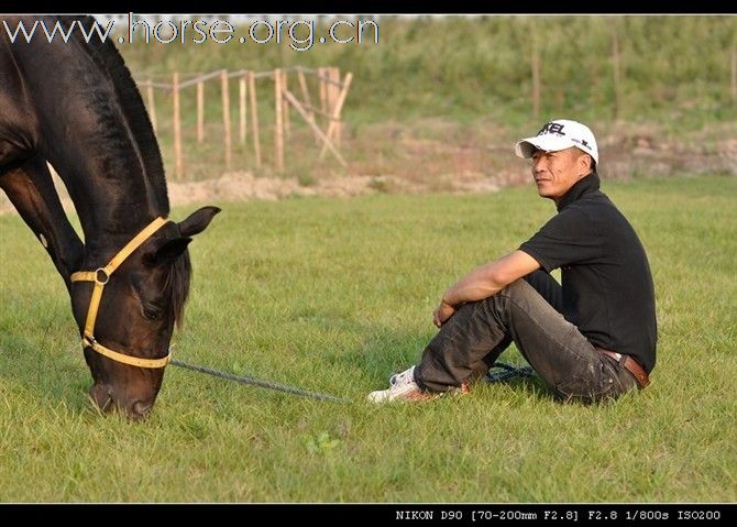 看看我的马提点意见