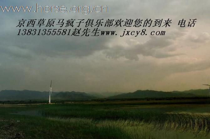 [推荐]北京周边出售好马了