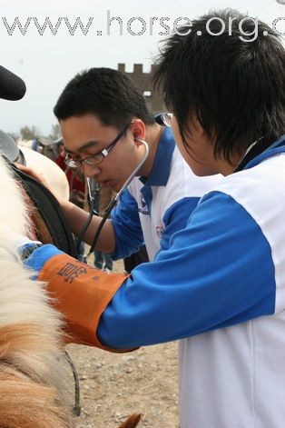 求职