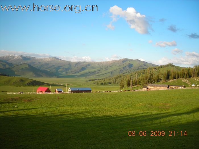 新疆赛里木湖八日游！