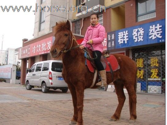 江苏常州卖马