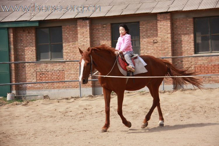 多大孩子开始学习骑马比较合适