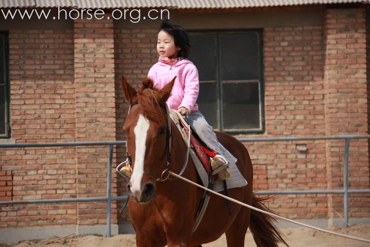 多大孩子开始学习骑马比较合适