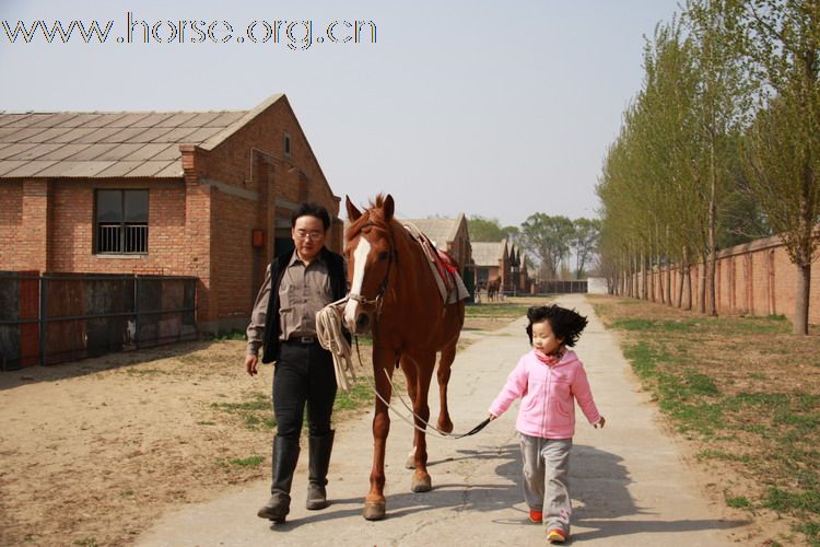 多大孩子开始学习骑马比较合适