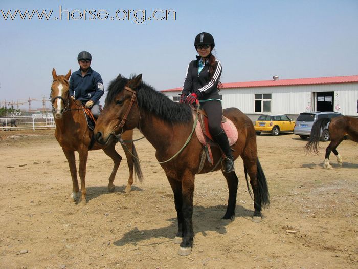 野骑开始了！