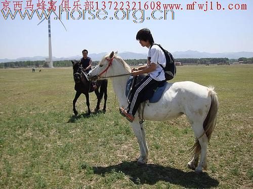 京西草原五一骑马