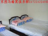 京西草原五一骑马