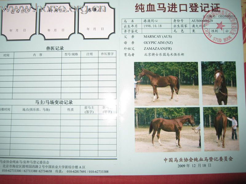 配马、卖马，明码实价