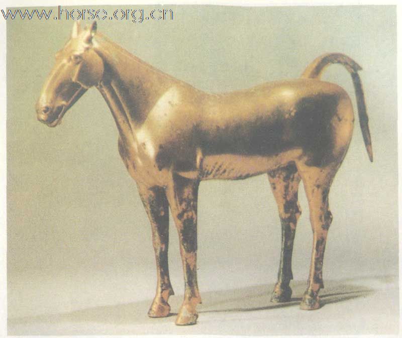 [贴图]比较可信的汗血马遗像——西汉镏金铜马