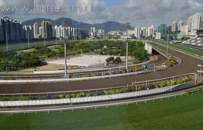 2010年4月10日，11日「香港馬術馬王賽2010」之一星級兩日賽
