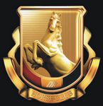 杭州蔓哈顿骏马会3月成功繁殖的阿拉伯马驹（图）