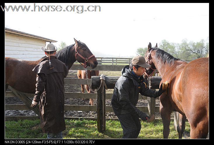 2010-5美国西部牛仔生活深入体验（之一）